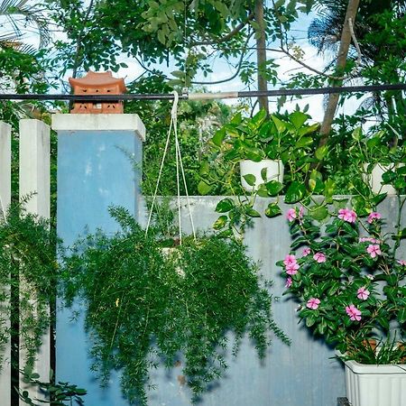 Green Bud Hostel And Homestay Хоян Екстер'єр фото