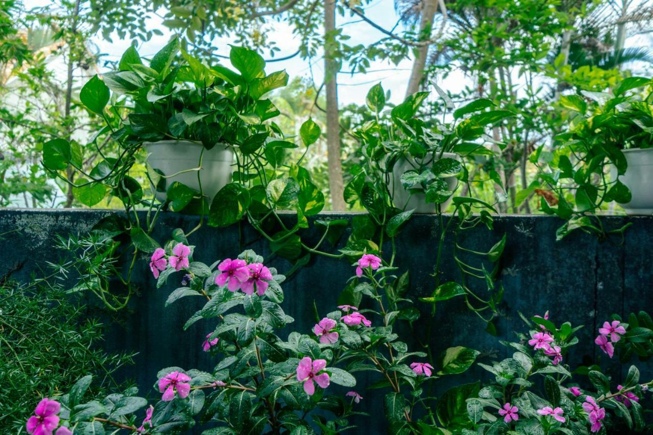 Green Bud Hostel And Homestay Хоян Екстер'єр фото